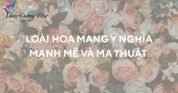 Loài hoa mang ý nghĩa mạnh mẽ và ma thuật