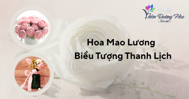 Hoa Mao Lương: quyến rũ và sang trọng
