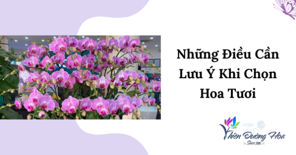 Những điều cần biết khi chọn hoa tươi - Hoa tươi Bình Dương