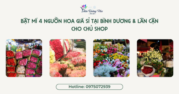 Bật Mí 4 Nguồn Hoa Giá Sỉ Tại Bình Dương & Lân Cận Cho Chủ Shop