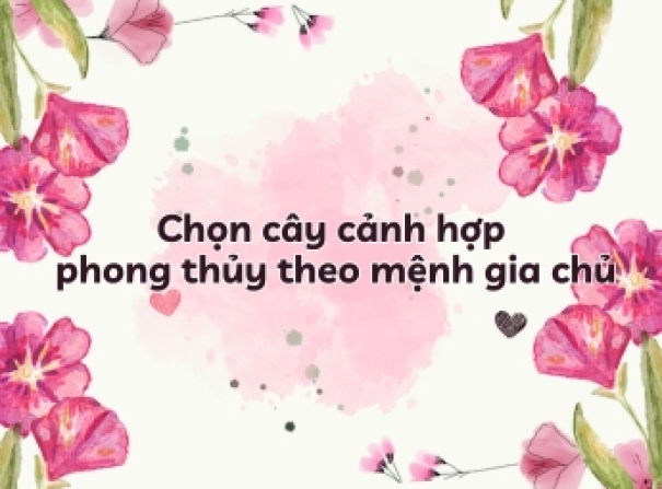  Chọn cây cảnh hợp phong thủy theo mệnh gia chủ