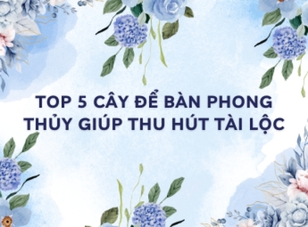 Top 5 cây để bàn phong thủy giúp thu hút tài lộc
