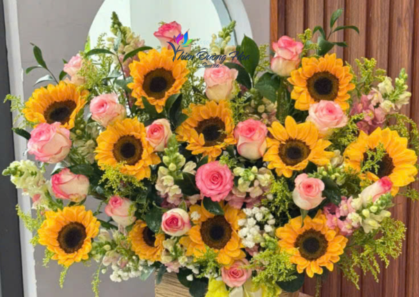 Hoa hướng dương – Biểu tượng của niềm tin và hy vọng