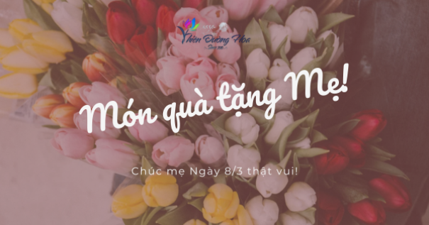 Ý nghĩa hoa tặng mẹ ngày 8/3 – Biết ơn & dịu dàng