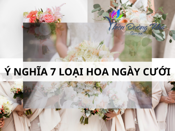 Ý nghĩa 7 loài hoa trong trang trí hoa tươi đám cưới phổ biến