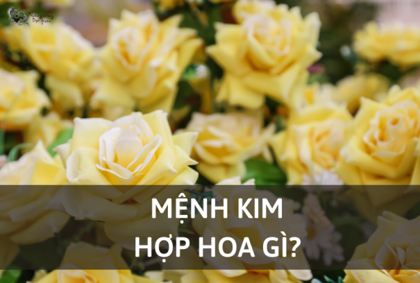 Cách chọn hoa hợp mệnh Kim để thu hút may mắn & cân bằng năng lượng