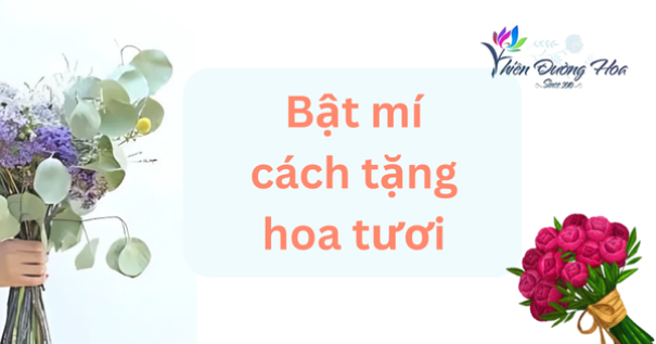Hoa tươi Bình Dương - Bật mí cách tặng hoa tươi đẹp lòng người nhận