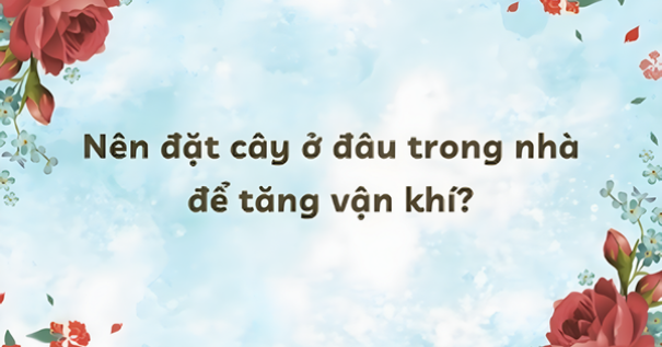 Nên đặt cây ở đâu trong nhà để tăng vận khí?