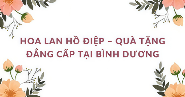 Hoa lan hồ điệp – Quà tặng đẳng cấp tại Bình Dương