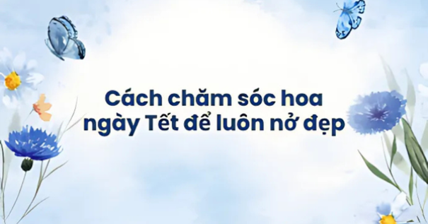Cách chăm sóc hoa ngày Tết để luôn nở đẹp