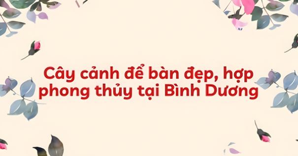 Cây cảnh để bàn đẹp, hợp phong thủy tại Bình Dương