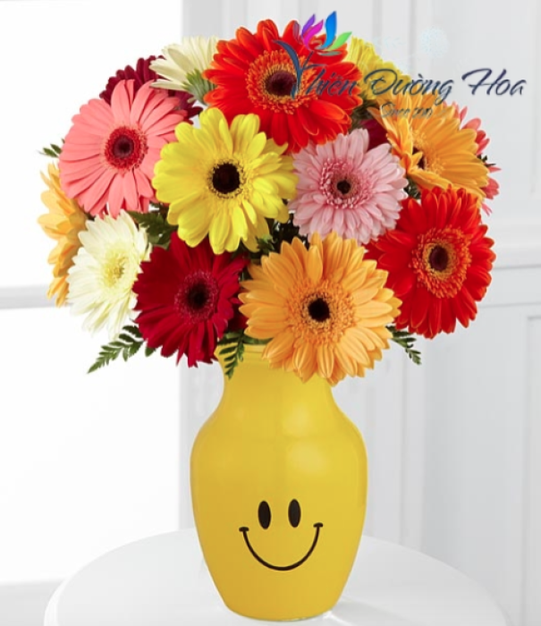 Ý nghĩa hoa đồng tiền