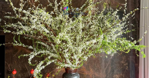 Ý nghĩa các loài hoa chưng Tết mang tài lộc và bình an