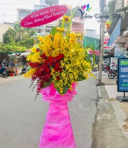 Hoa Chúc Mừng -  T22