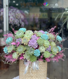 Bình hoa sen đá 06