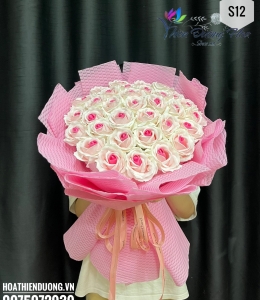 Sắc Hồng Phai 12