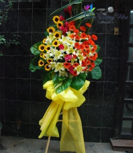 Hoa Chúc Mừng -  T23