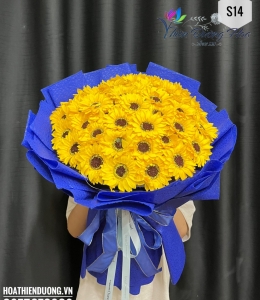 Hướng dương ngược nắng 14