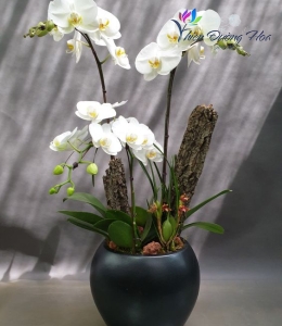 Hoa lụa cao cấp - TĐH 09