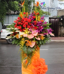 Hoa Chúc Mừng -  T24