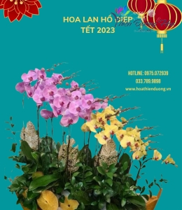 Thuyền thăng tiến