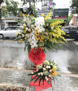 Hoa Chúc Mừng -  T15