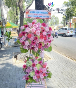 Hoa Chúc Mừng -  T12