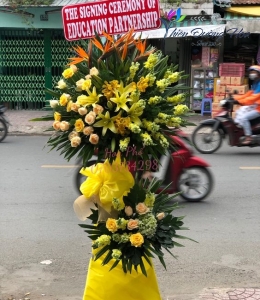 Hoa chúc mừng- Phát tài 01