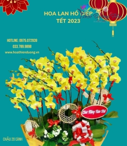 Thuyền thần tài