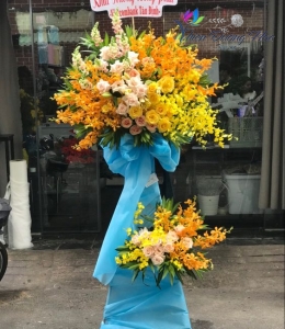 Hoa Chúc Mừng - Phát Tài TDH 02