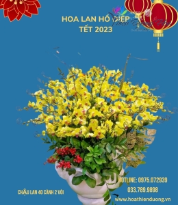 Chậu Vip thần tài