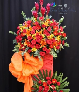 Mùa xuân đỏ rực 57