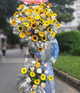 Hoa Chúc Mừng -  T19