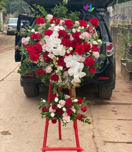 Kệ Hoa Khai Trương 51