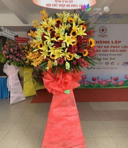 Hoa Chúc Mừng -  T16