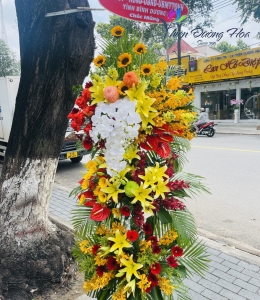 Hoa khai trương- Chúc Mừng Đại Hội 01