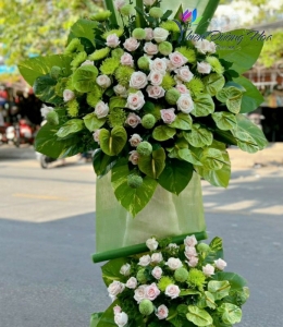 Hoa khai trương- Tươi xanh 384