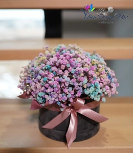 Cầu vòng sau mưa 39