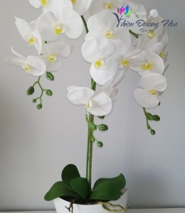 Hoa lụa cao cấp - TĐH 12