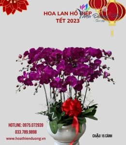 Ấm áp hạnh phúc