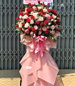 Hoa Chúc Mừng - Phát Lộc TDH04