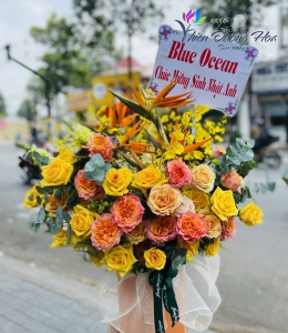 Hộp hỗ chúc mừng - Tươi vui 03