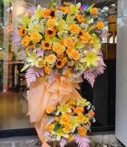 Hoa Khai Trương - Hồng Phát TDH 12