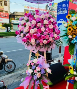 Hoa khai Trương- Sắc hồng tươi tắn 08