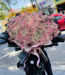 Hoa baby- Tình yêu màu hồng