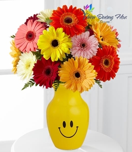 Hoa đồng tiền bình nhỏ