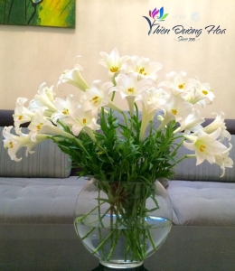 Hoa loa lèn- Tinh Khôi 03