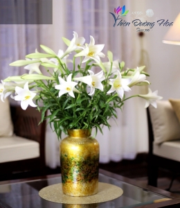 Hoa loa lèn- Tinh Khôi 04