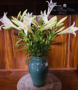 Hoa loa lèn- Tinh Khôi 01