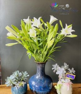 Hoa loa lèn- Tinh Khôi 02